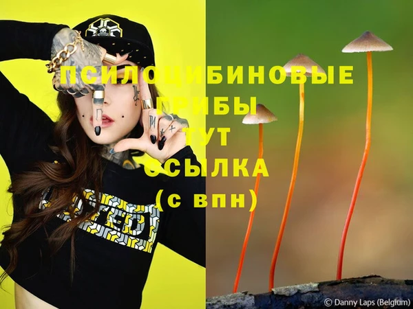 таблы Зеленодольск